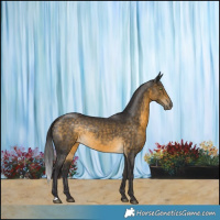 Horse Color:Buckskin Rabicano