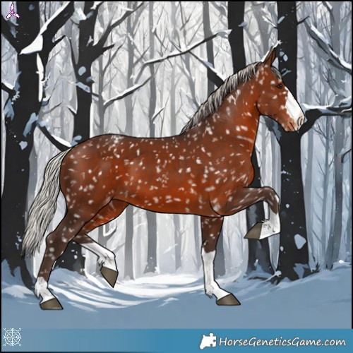 Horse Color:Silver Brown Snowflake Varnish