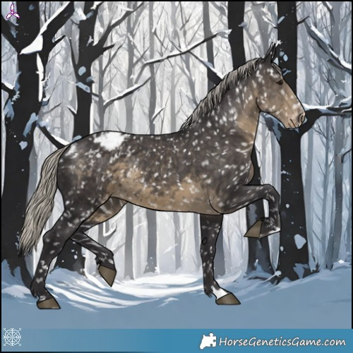 Horse Color:Silver Smoky Black Appaloosa 