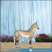 Horse Color:Silver Buckskin Dun Rabicano 