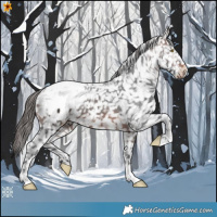 Horse Color:Brown Snowcap 