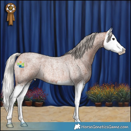 Horse Color:Silver Bay Roan Splash Rabicano 