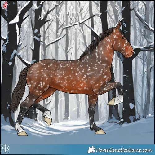 Horse Color:Bay Snowflake Varnish 