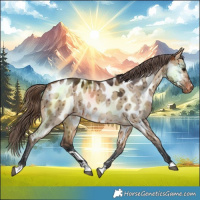 Horse Color:Bay Dun Near Leopard Brindle 