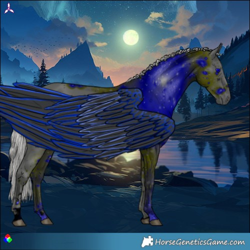 Horse Color:ERROR: UNKNOWN ANOMALY