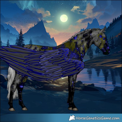 Horse Color:ERROR: UNKNOWN ANOMALY