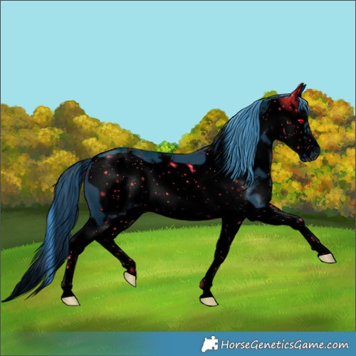 Horse Color:ERROR: UNKNOWN ANOMALY