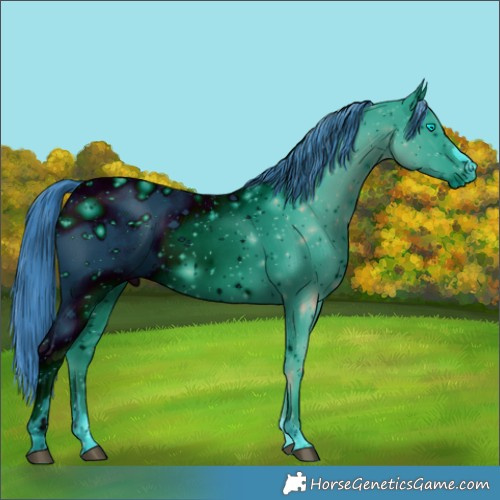 Horse Color:ERROR: UNKNOWN ANOMALY