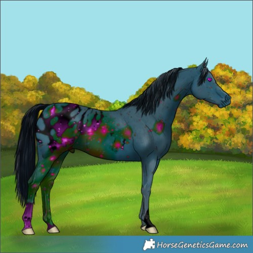 Horse Color:ERROR: UNKNOWN ANOMALY