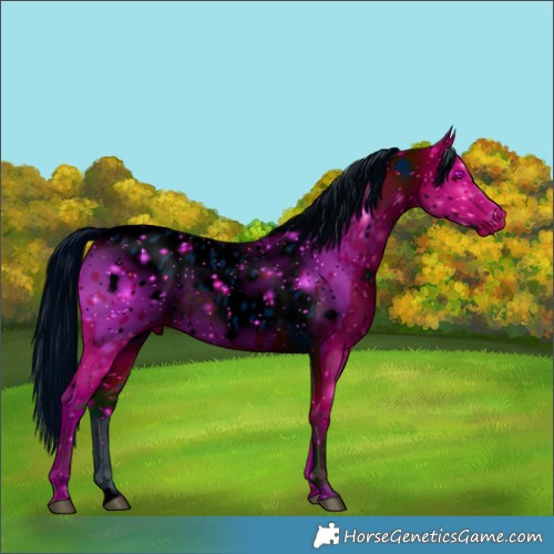 Horse Color:ERROR: UNKNOWN ANOMALY