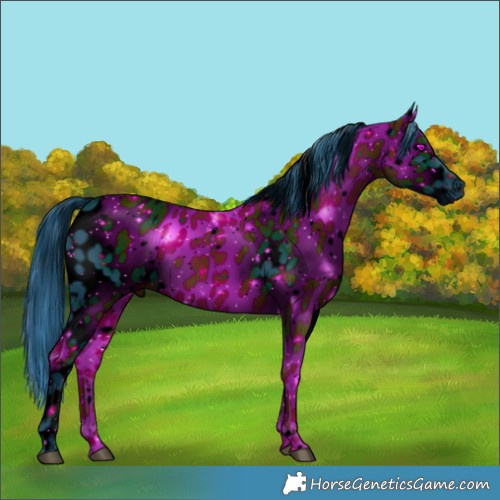 Horse Color:ERROR: UNKNOWN ANOMALY