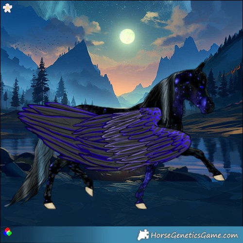 Horse Color:ERROR: UNKNOWN ANOMALY