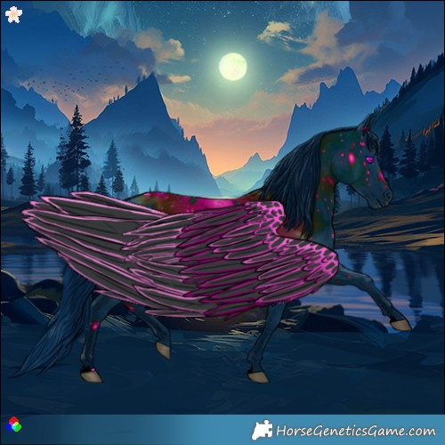 Horse Color:ERROR: UNKNOWN ANOMALY