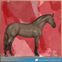 Horse Color:Liver Red Dun Rabicano 