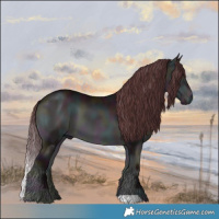 Horse Color:Midnight Chocolate Brown Chinchilla Onyx