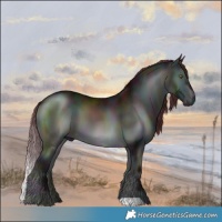 Horse Color:Midnight Chocolate Brown Chinchilla Onyx 