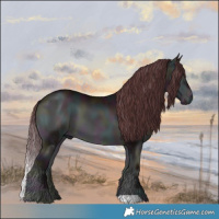 Horse Color:Midnight Chocolate Brown Chinchilla Onyx 
