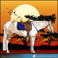 Horse Color:White Spotted Chocolate Palomino Dun Tobiano 