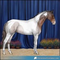 Horse Color:Liver Red Roan Tobiano 