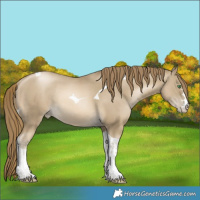 Horse Color:Smoky Black Pearl Tobiano Rabicano 