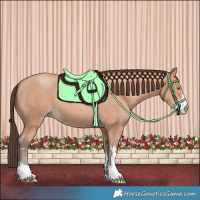 Horse Color:Amber Champagne 