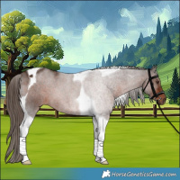 Horse Color:Liver Chestnut Tobiano 