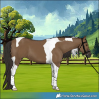 Horse Color:Gray Liver Red Dun Tobiano 