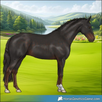 Horse Color:Liver Chestnut 