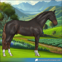 Horse Color:Liver Chestnut