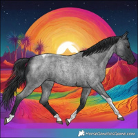 Horse Color:Blue Roan Tobiano