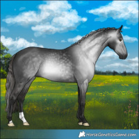 Horse Color:Gray Liver Chestnut