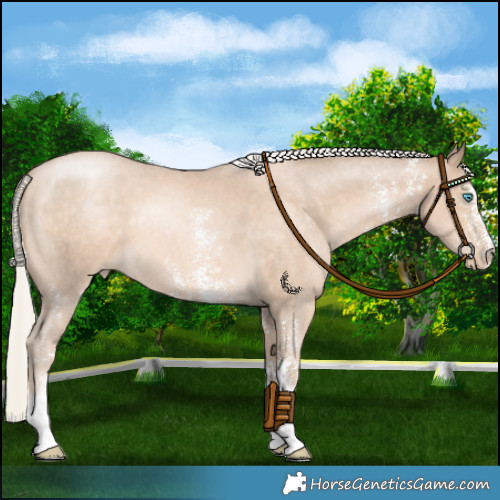 Horse Color:Chocolate Palomino Pearl Sabino