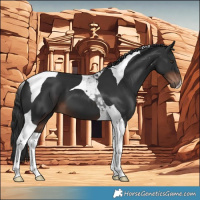 Horse Color:Liver Chestnut Tobiano 