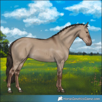 Horse Color:Liver Red Dun