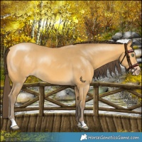 Horse Color:Amber Cream Champagne 