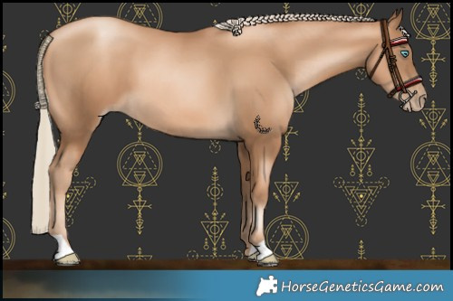 Horse Color:Gray Gold Cream Champagne Pearl 