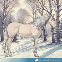 Horse Color:Silver Perlino Dun 