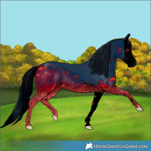 Horse Color:ERROR: UNKNOWN ANOMALY