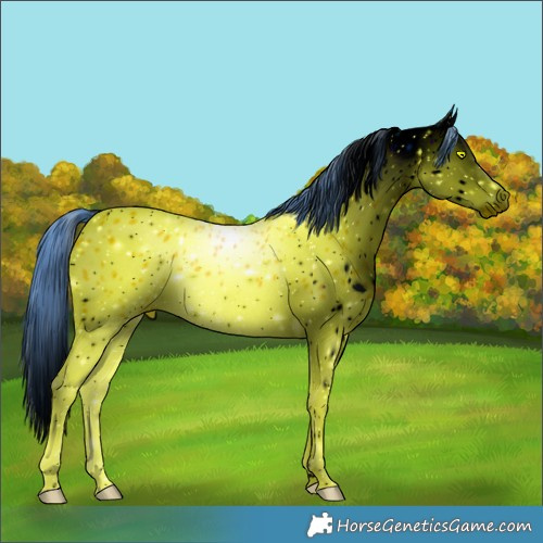 Horse Color:ERROR: UNKNOWN ANOMALY