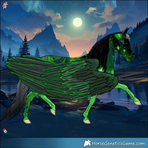 Horse Color:ERROR: UNKNOWN ANOMALY