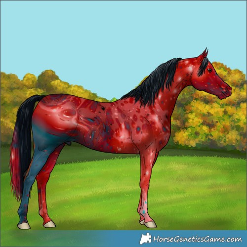 Horse Color:ERROR: UNKNOWN ANOMALY