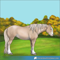 Horse Color:Chocolate Palomino Pearl
