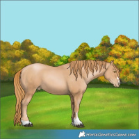 Horse Color:Chestnut Pearl