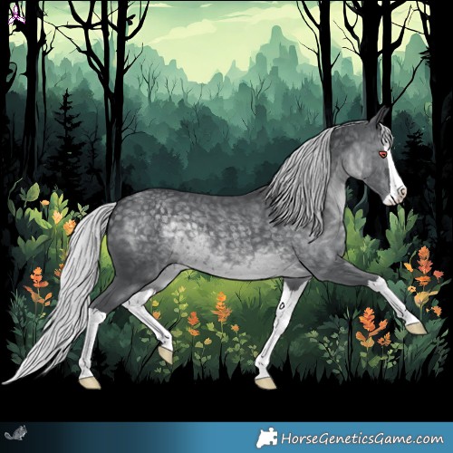 Horse Color:Silver Black Chinchilla Splash