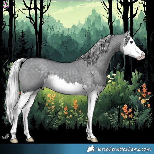 Horse Color:Silver Grullo Chinchilla Splash 