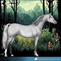 Horse Color:Silver Grullo Chinchilla 