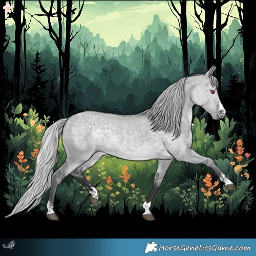 Horse Color:Silver Grullo Chinchilla 