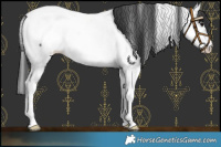 Horse Color:Black Splash Fewspot