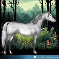 Horse Color:Silver Bay Chinchilla Dun Brindle 