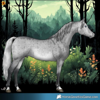 Horse Color:Silver Bay Chinchilla Dun Brindle 